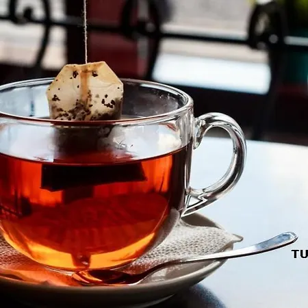 Istanbul Golden Horn Konukevi